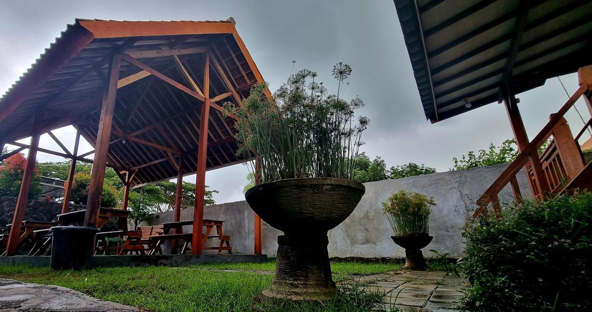 Mayeka Transit Hostel Bandara Internasional Lombok 普拉亚 外观 照片